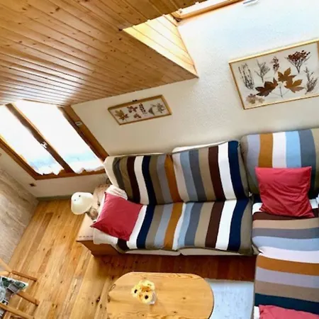 Atico En Biescas Con Piscina, Chimenea Y Garaje * Biescas (Aragon)